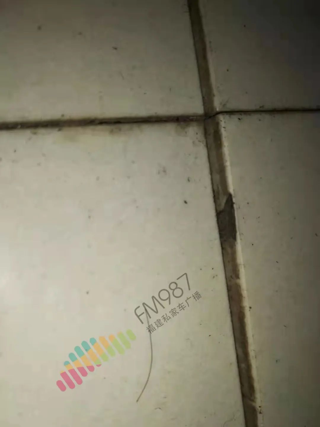 DƬ